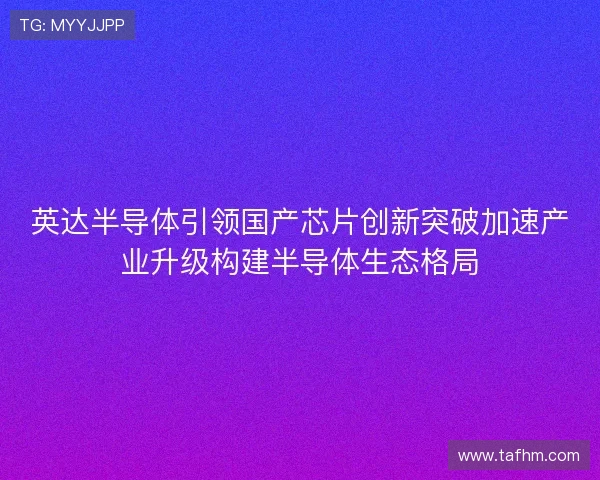 英达半导体引领国产芯片创新突破加速产业升级构建半导体生态格局